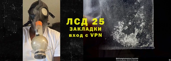 стаф Арсеньев