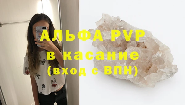 стаф Арсеньев