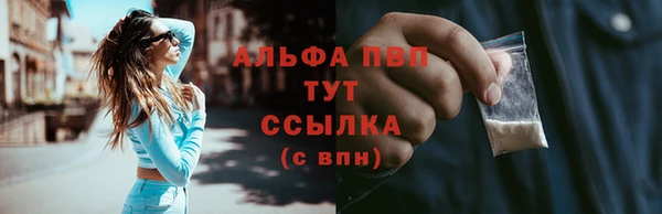 стаф Арсеньев