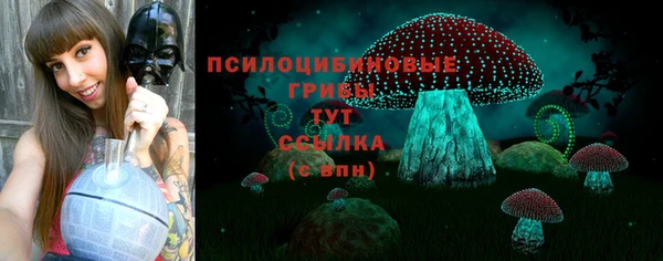 Альфа ПВП Аркадак